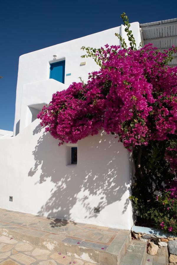 Arpistis Apartments Koufonisia Exterior foto